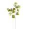 Snowball Spray Floral Essentials by Ashland®